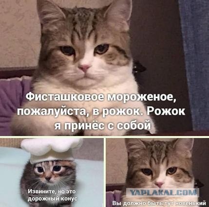 А удобная штукенция!