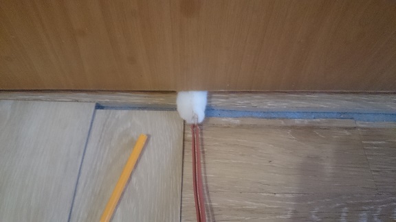 Разные картинки во вторник. С котами