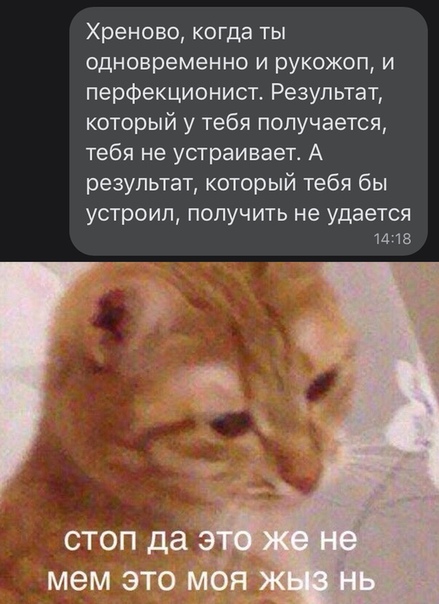 Юмор и прикольные картинки