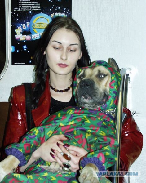 Попутчицы