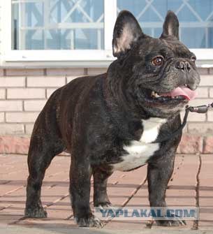 Появились кадры из Star Wars Episode 7