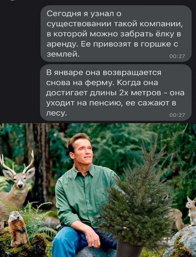 Насохранял