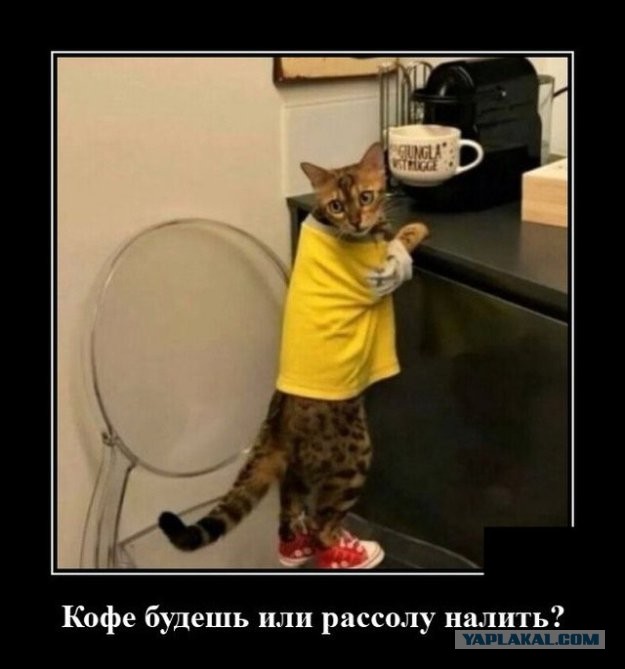 Картинки на четверг 10.06.2021