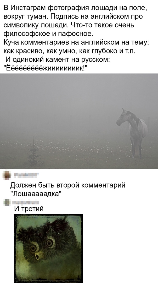 Так себе картинки 08.09.21