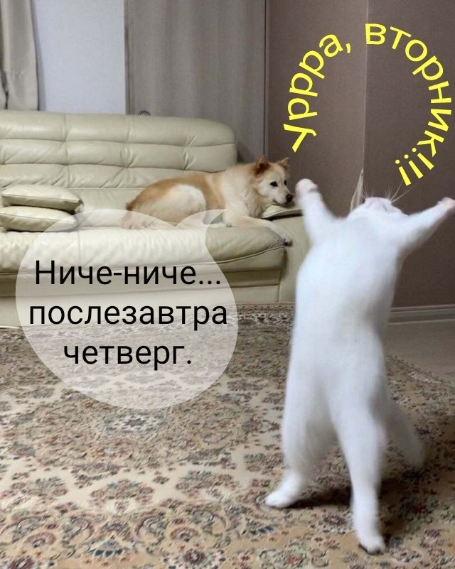 Так себе картинки 23.10.21