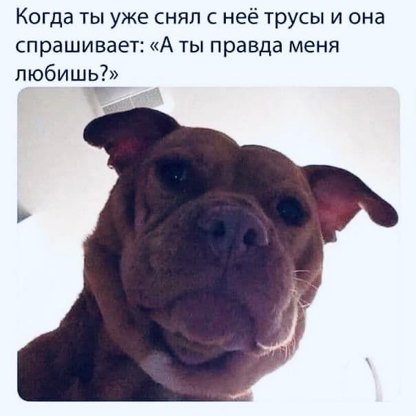 Подеградируем, побаяним... ч.2