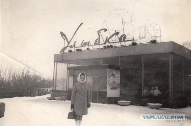 Кто из Воронежа, помнит?