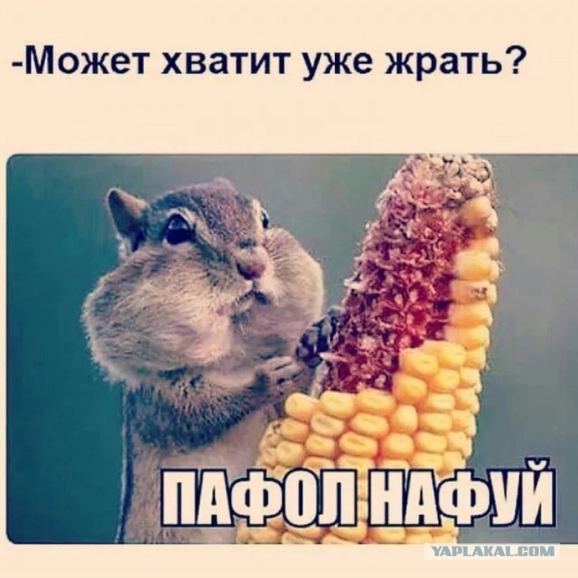 Как выглядела главная ЯП в последние дни уходящего 2005 года