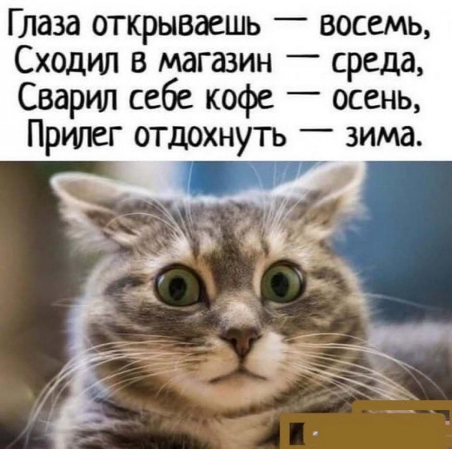 Так себе картинки 17.04.22