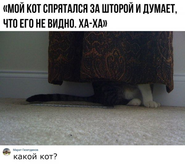 Картинки и мемы для настроения - 29