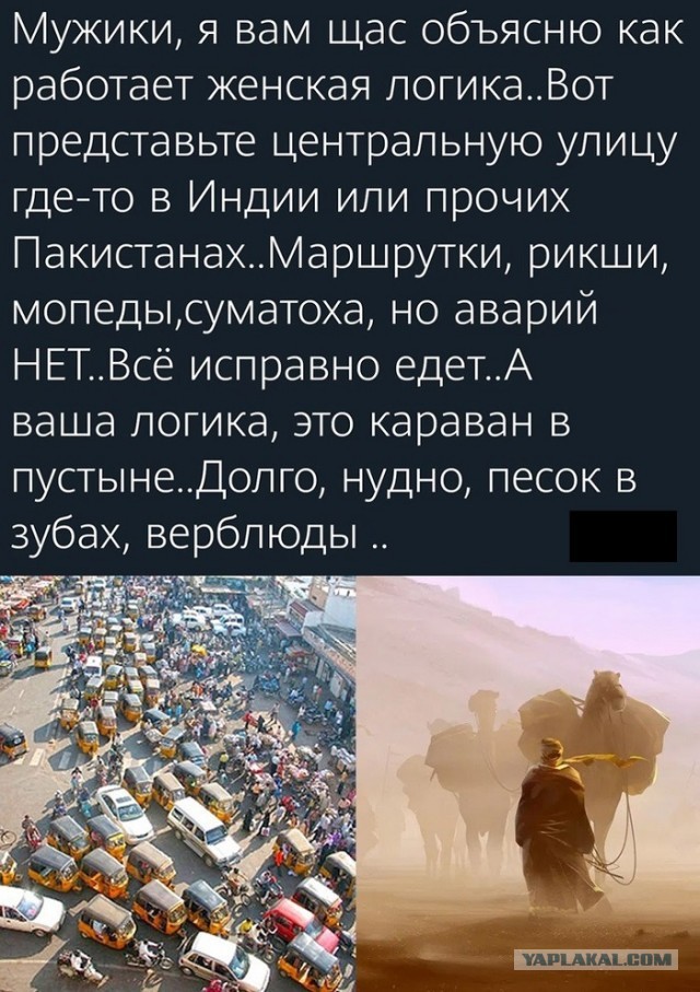 Господа, я понял, в чём суть женской логики