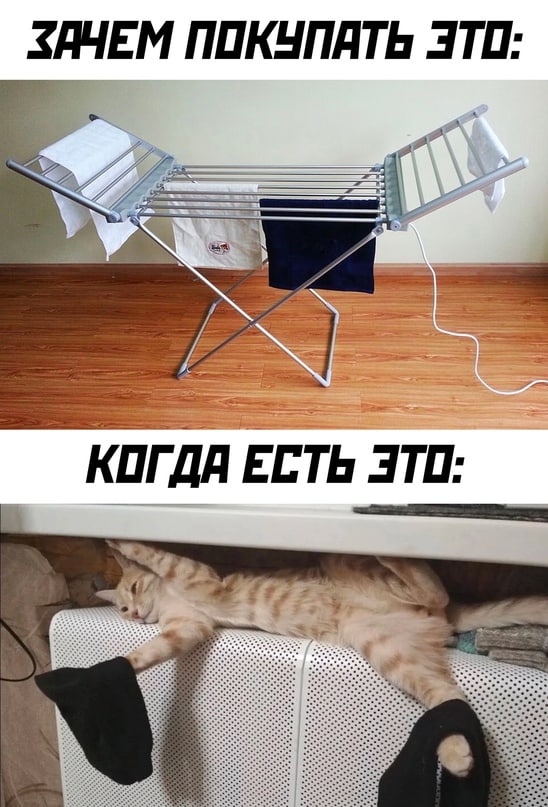 Твитота