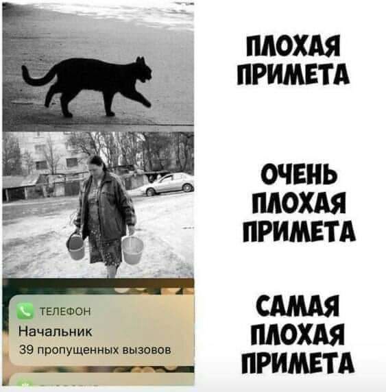 25 картинок