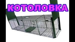 У будущей жены должна быть квартира и машина