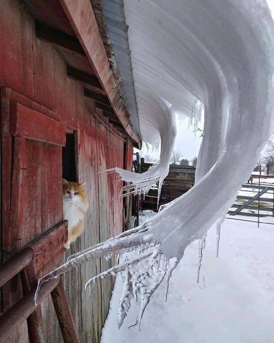 Так себе картинки 14.01.23