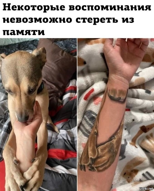 25 картинок для настроения
