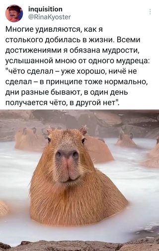 Картинки и мемы, всяко разно - 171