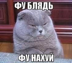 Женский турнир по бодибилдингу в Великобритании.