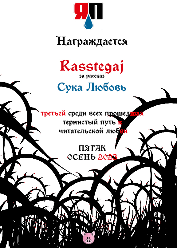 "Пятак-2023". Итоги