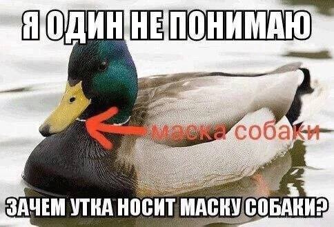 Так себе картинки 28.10.23