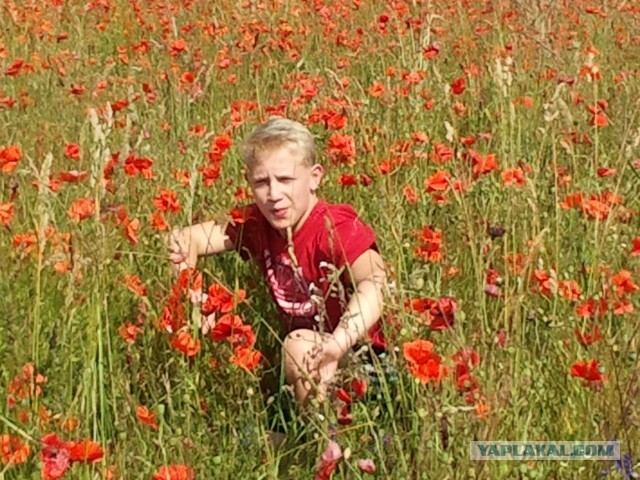 Красивые фото ЯПа