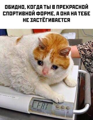 Всего понемногу. От 15.11.23