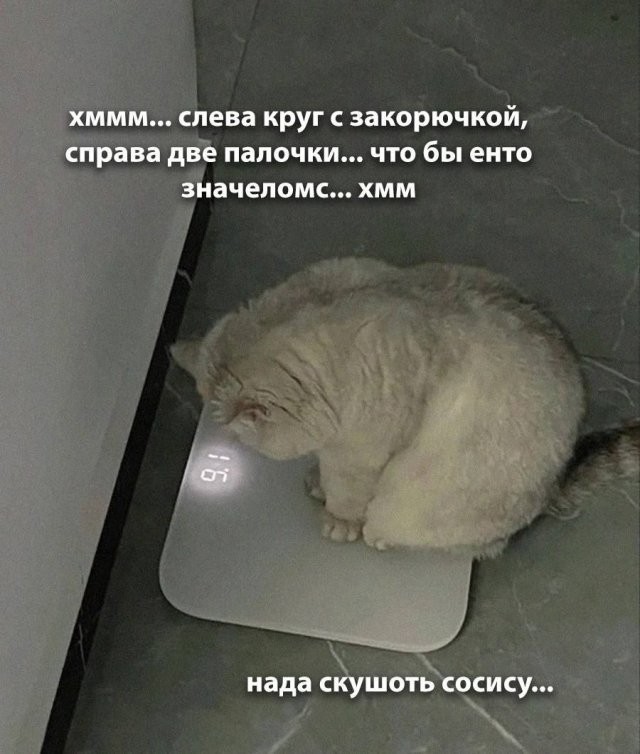 Доставка баянов