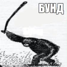 В Польше остановили мигрантов