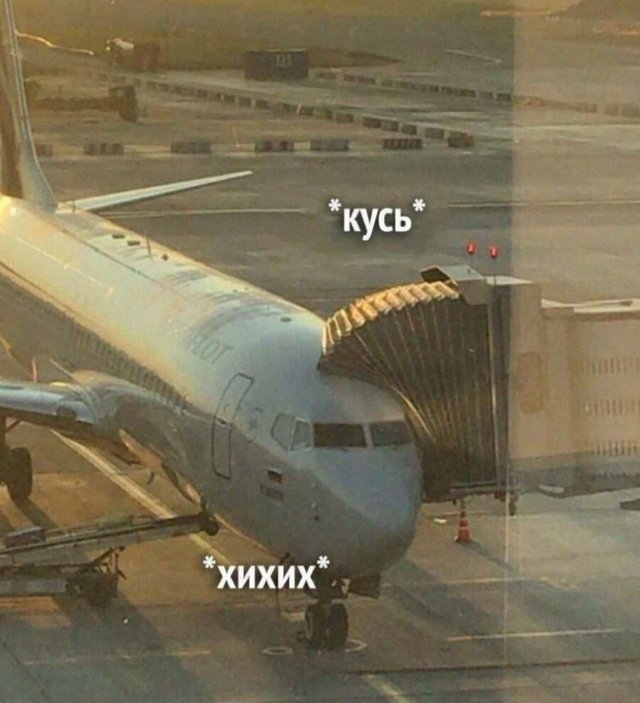 Так себе картинки 11.05.24