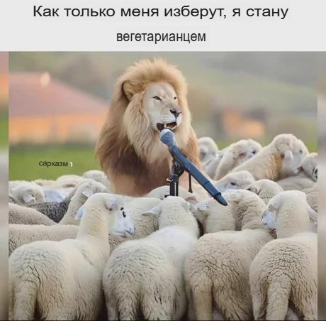 Немного забавных картинок 27.07.24