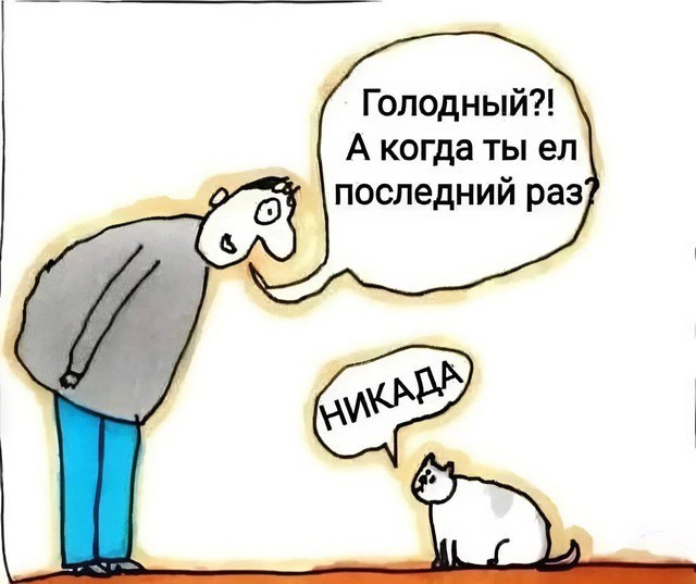 Всего понемногу. От 08.12.24