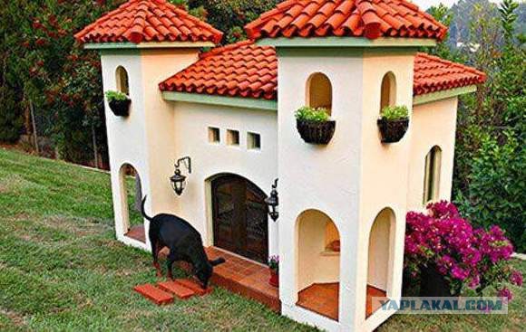 Будка своими руками.