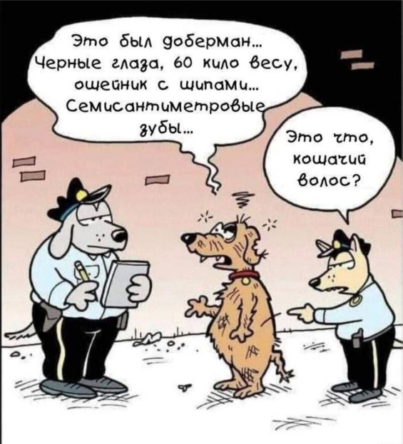 Так себе картинки 02.07.25