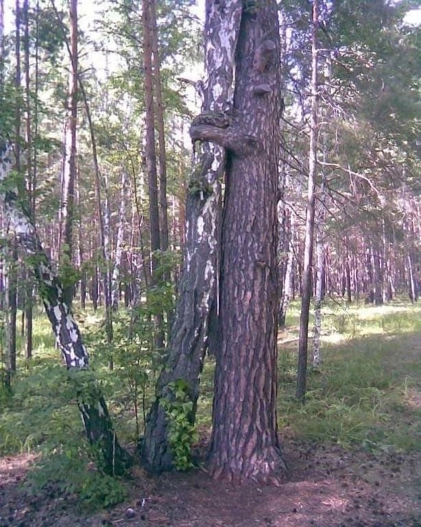 Прикольные и просто красивые картинки 29.08.2025