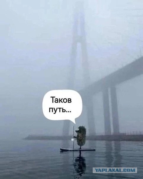 Постой, погоди...