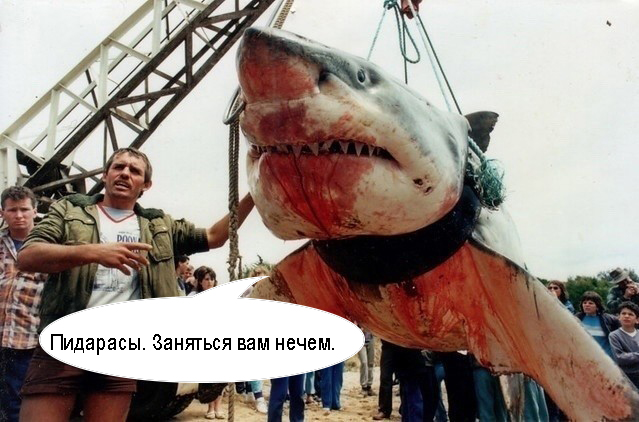 Белая Смерть боролась за жизнь до конца!