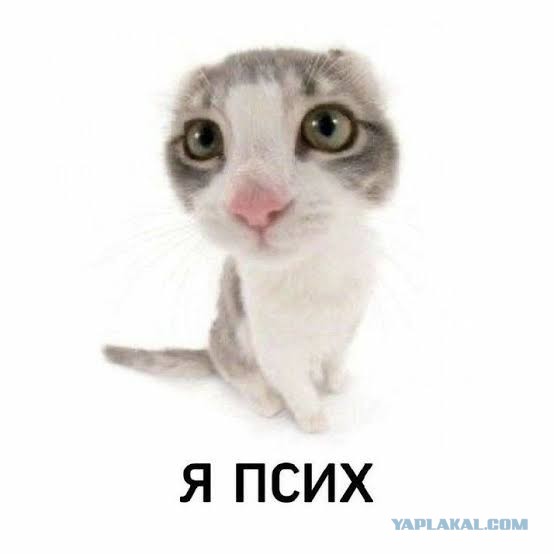 15-летний зумер угнал мамин внедорожник, чтобы прокатить 12-летнюю подругу