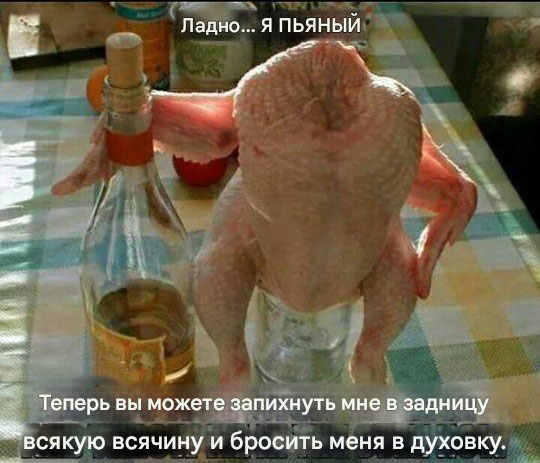 Новый год. Гусь