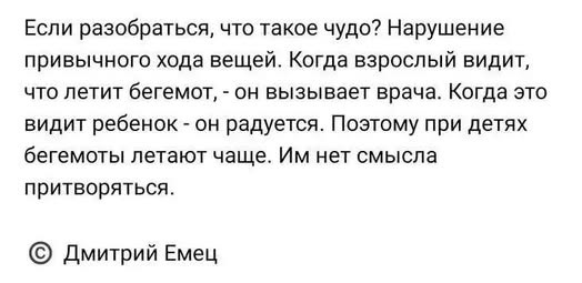 Мой кот