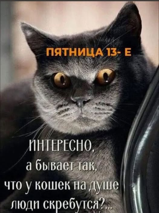Картинки для деградации 141 (разной степени свежести)