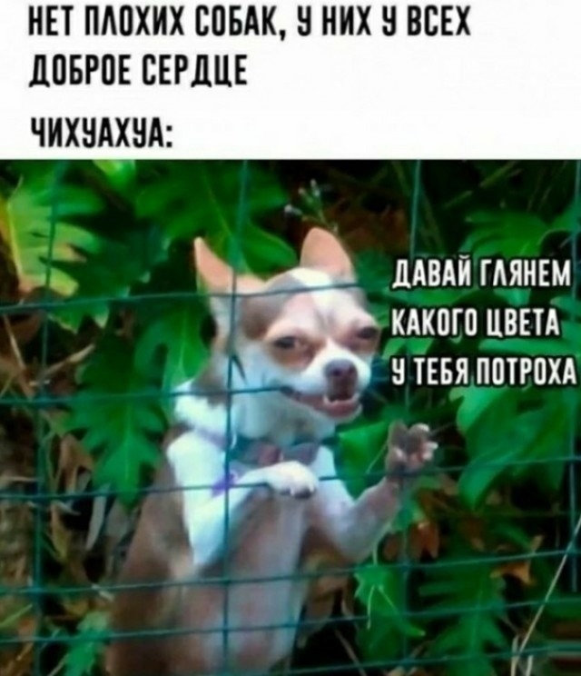 Совсем страх потеряли. (МИД Эстонии о "переносе войны в РФ")