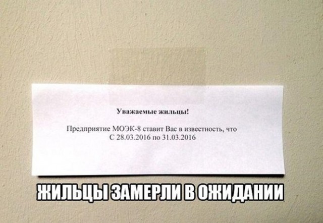 Картиночки, баянчики 20 февраля