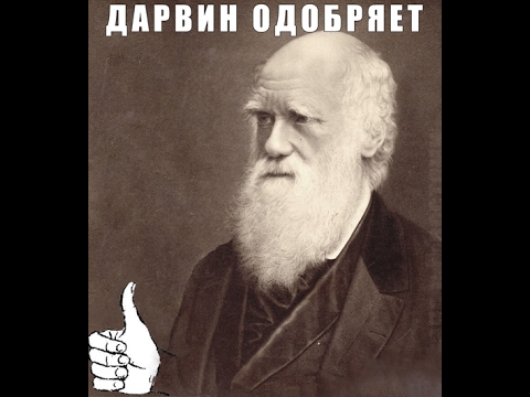 Что у молодых в голове?