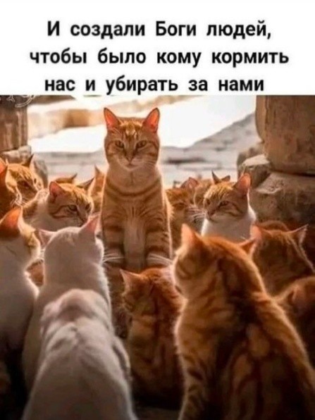 Картинки для деградации 209 (разной степени свежести)