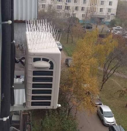 Дятел