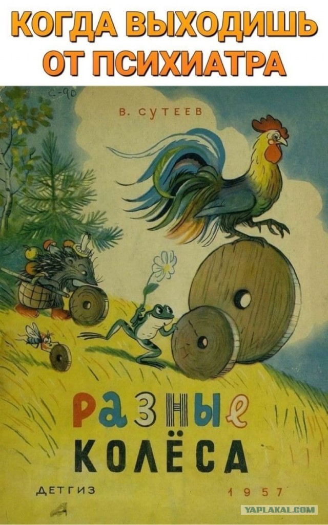 Как психологиня развалила семью