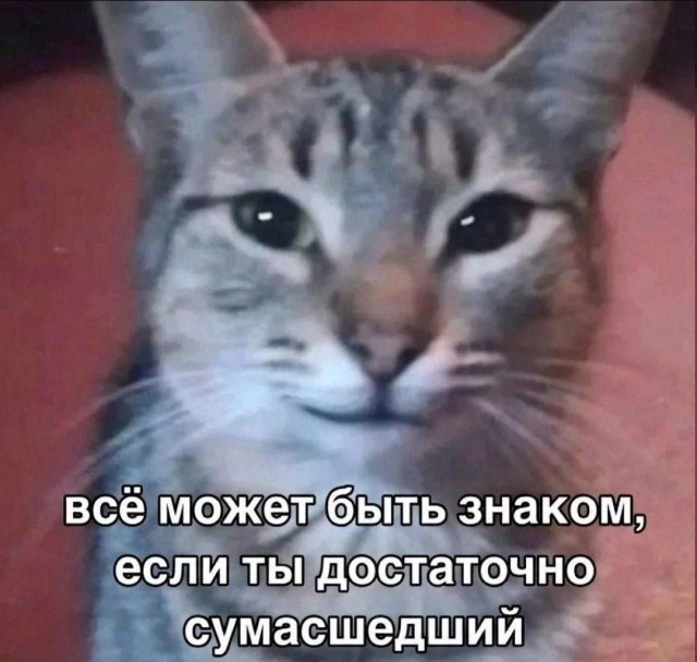 Психомемы-11