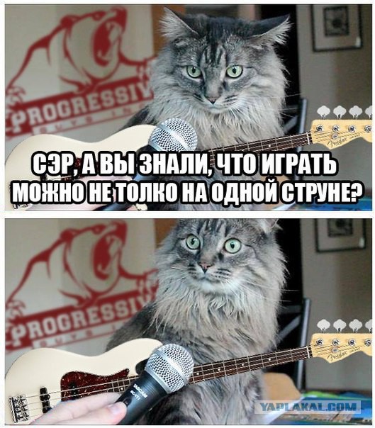 Весёлые картинки. Разбавим будни