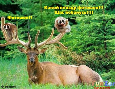 Вот это свитер!