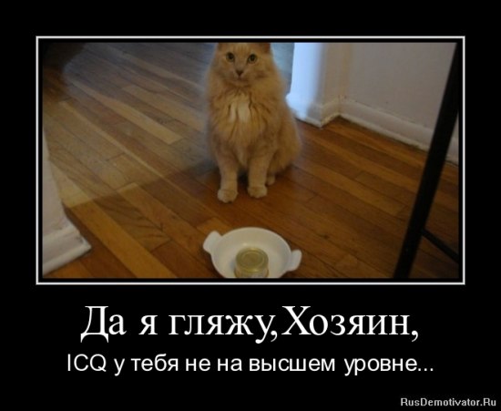 Номер ICQ